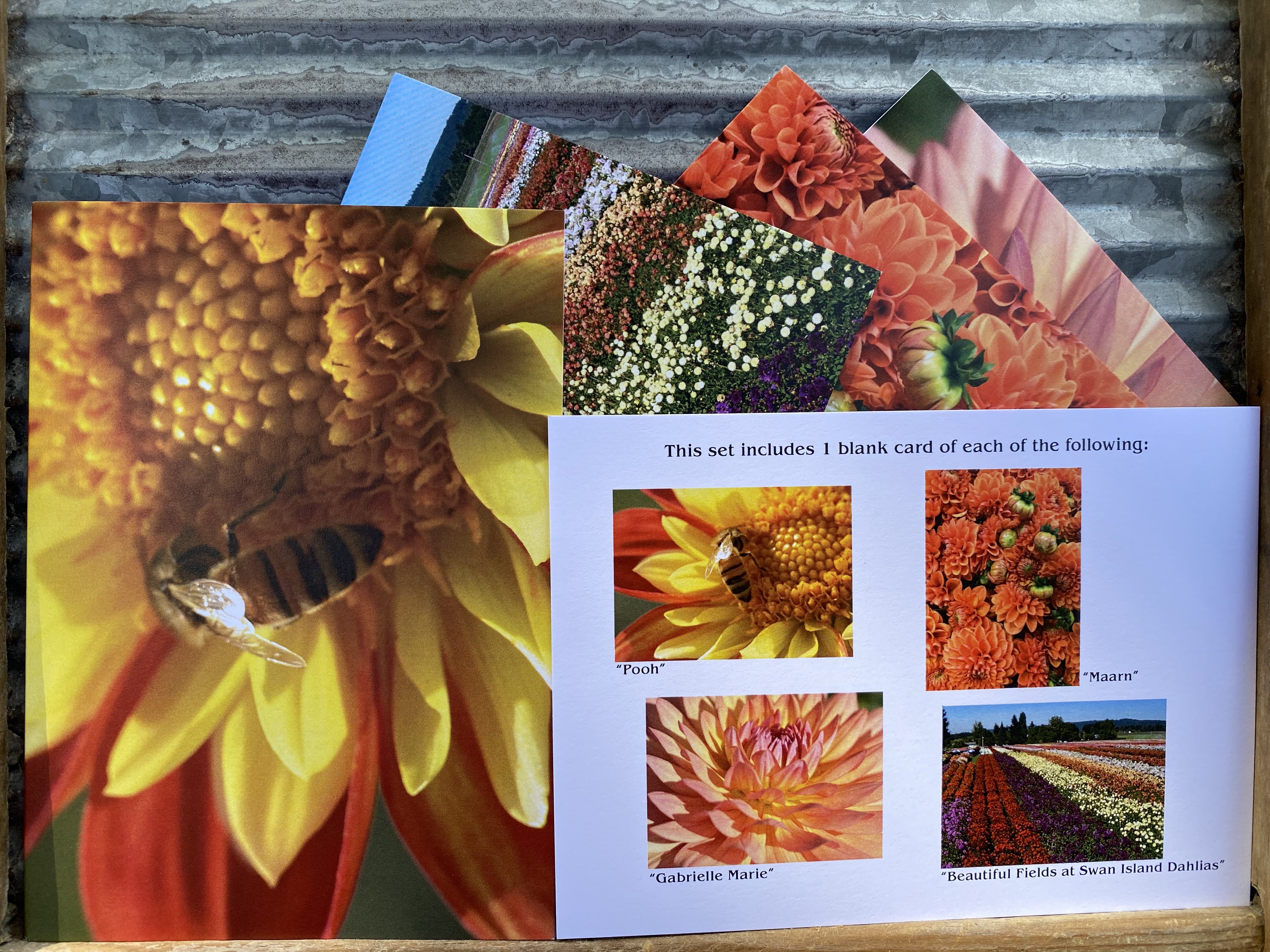 SID Dahlia Note Cards, Set of 4 Blank